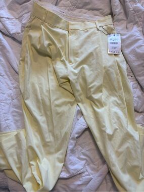 Nwt pants Zara wide leg pants pleated